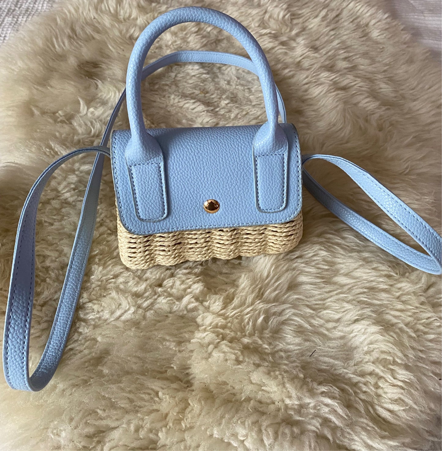 Mini Handbag